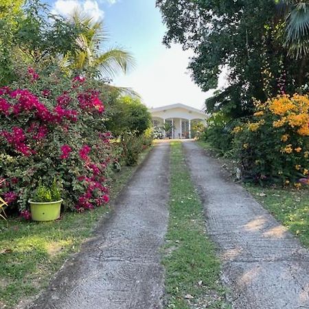 Jardin Des Anges-Bungalows Creoles Et Studio Le Moule Zewnętrze zdjęcie