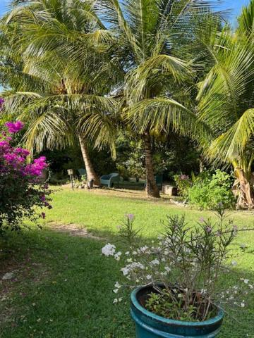 Jardin Des Anges-Bungalows Creoles Et Studio Le Moule Zewnętrze zdjęcie