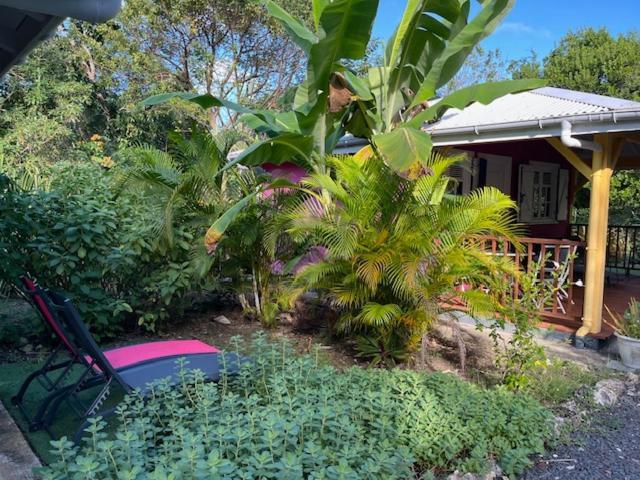 Jardin Des Anges-Bungalows Creoles Et Studio Le Moule Zewnętrze zdjęcie